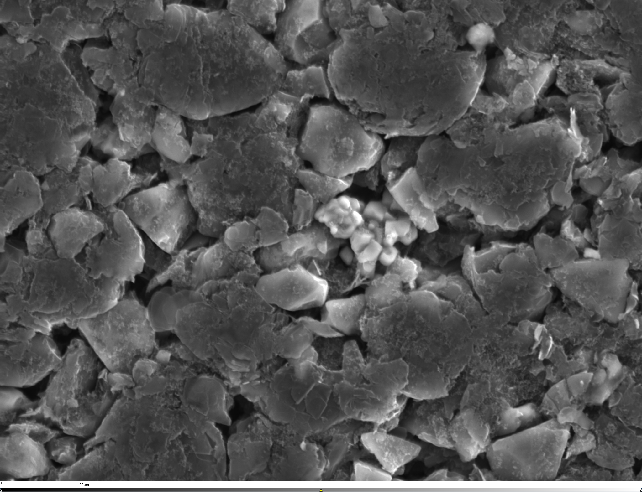 Secondary electron images of SiC anode particles.